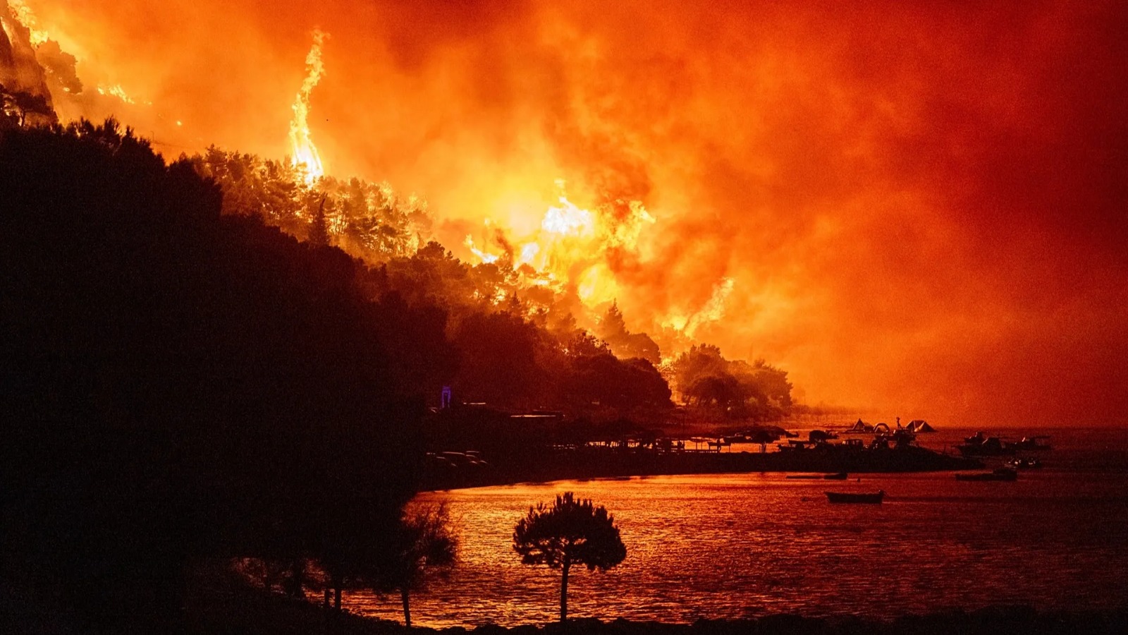 Europe wildfires: German border town partially evacuated but France blaze stabilised
