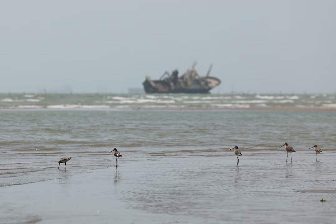 Iran and Oman plan for temporary Hormuz corridor as impasse with US persists
